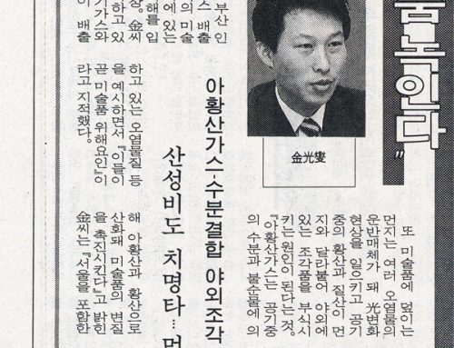 [스크랩] 대기오염이 미술품 녹인다.